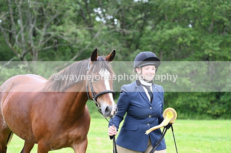 WJ7_4598 - Class 14B Prettiest Mare