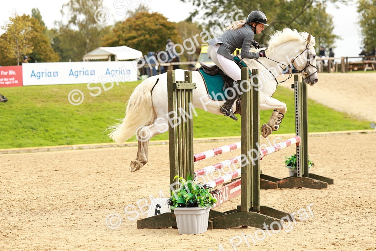 SBM_38412 - Supreme Championship 80cm 85cm
