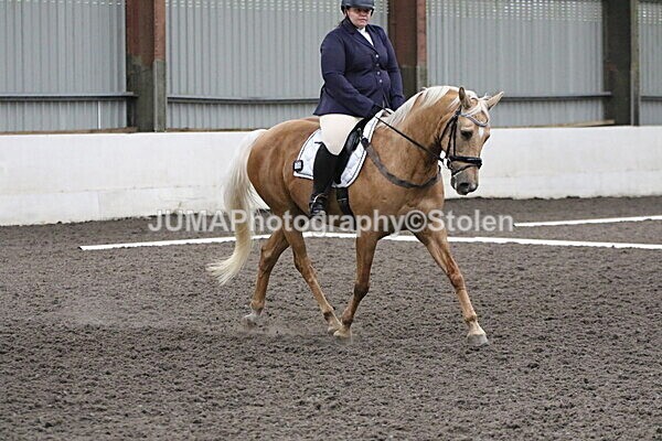 SIAL5501 - CAbin Dressage 5th july 2025