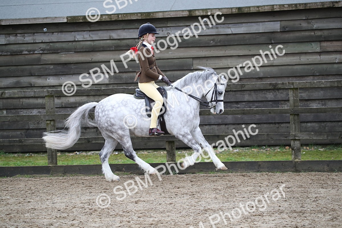 SBM_005919 - Class 10-13 - RIHS Small Large Breeds