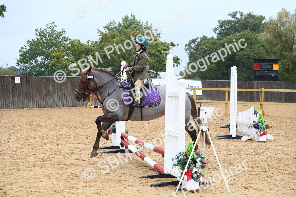 SBM_71492 - J4 - Mini Tour Junior Pony 45cm Championship