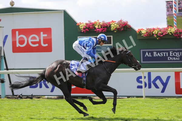 yr20082022r1-33 - Race 1 1.50pm Sky Bet & Symphony Group Strensall Stakes