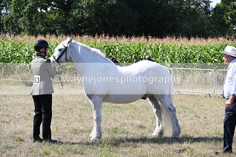 WJ6_4896 - Class 17 Mountain & Moorland