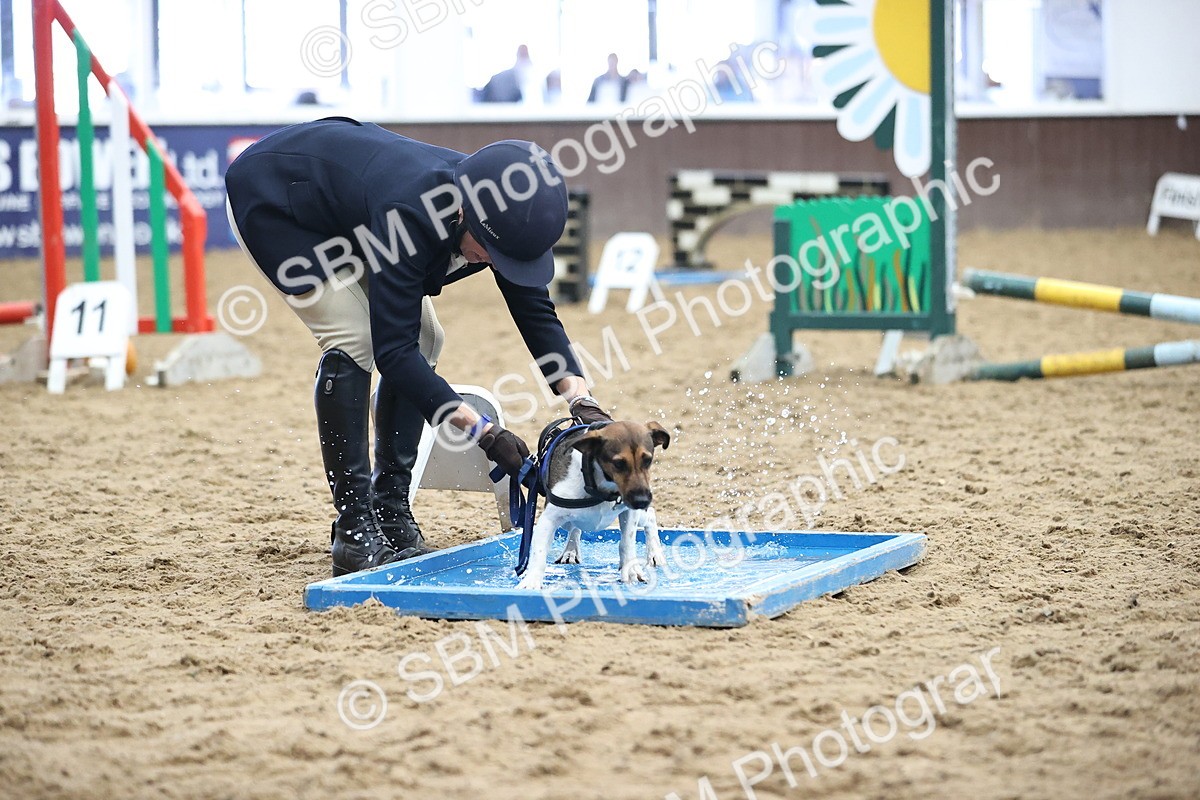 SBM_001177 - Class 3 - Horse & Hound 60cm