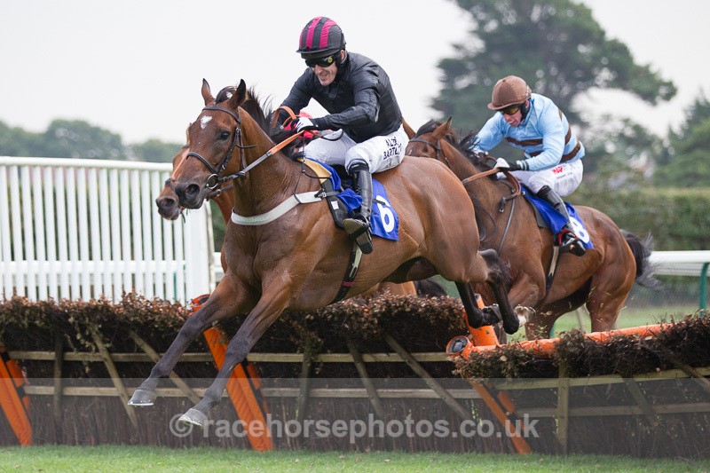 20140907Fontwell052 - Requests
