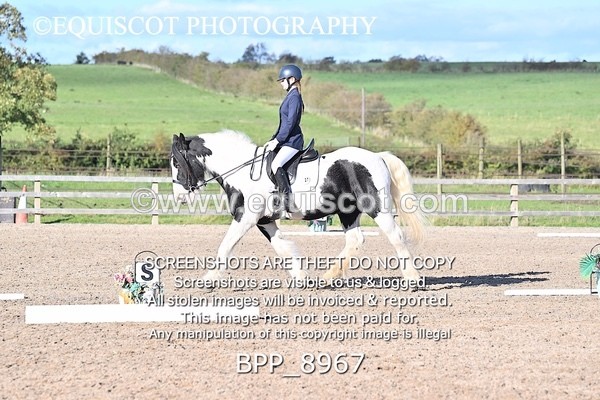 BPP_8967 - SHORT ARENA