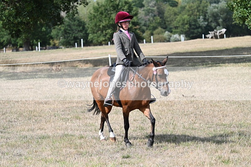 WJ7_6214 - Class 13 Ridden Veterans