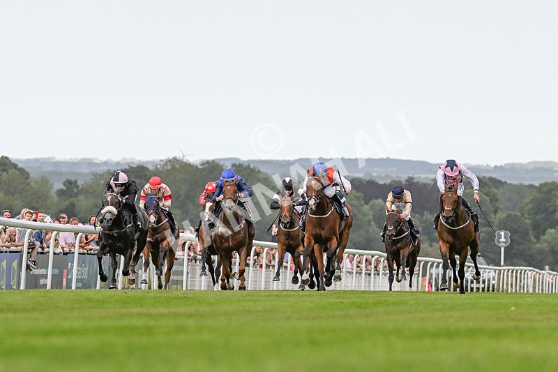 140824-Race 7-Willolarupi-3909 - Race 7