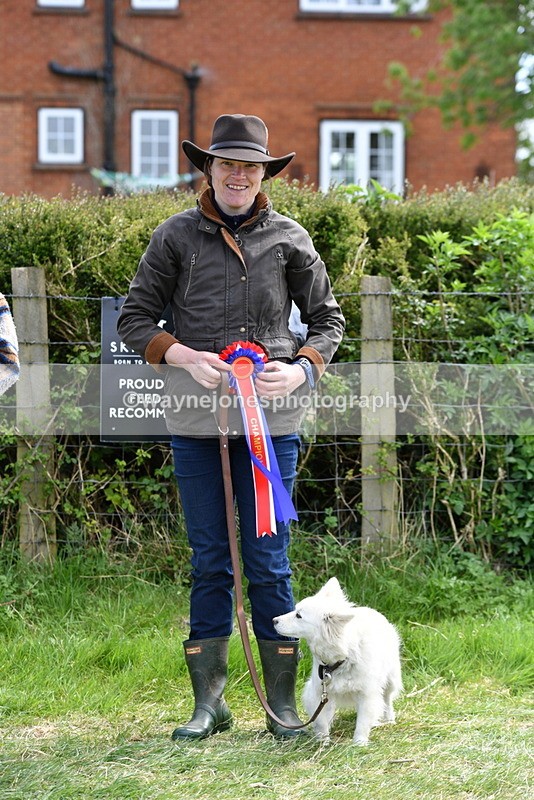 WJ5_0823 - Best in Show Championship