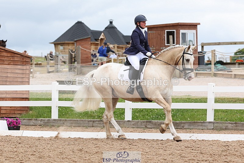 240622A-140804-11918 - Cls 29 BD Elementary 45