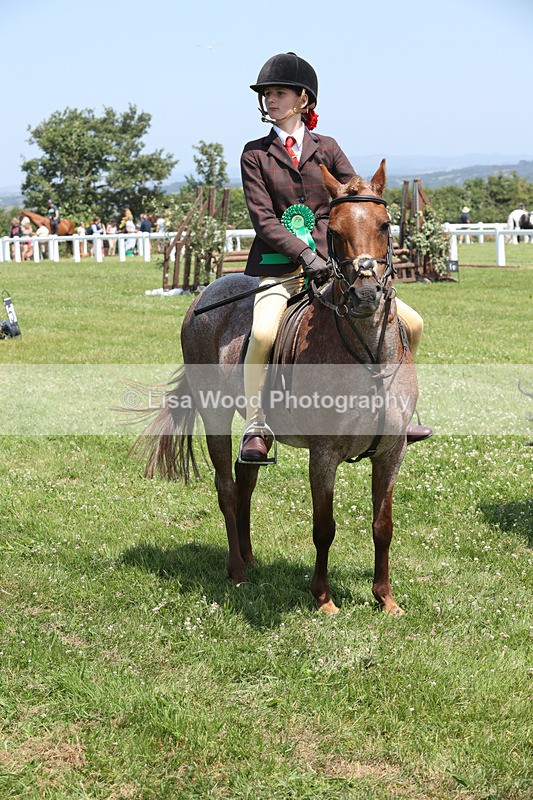 JPP_2951 - Class 21: Working Hunter 60cm