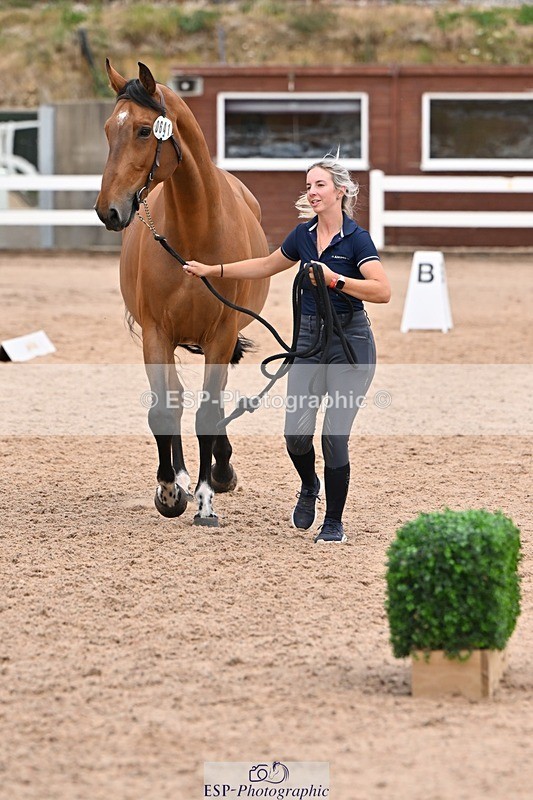 250716-143408-01211 - Trot Up 2.30 to 3.30