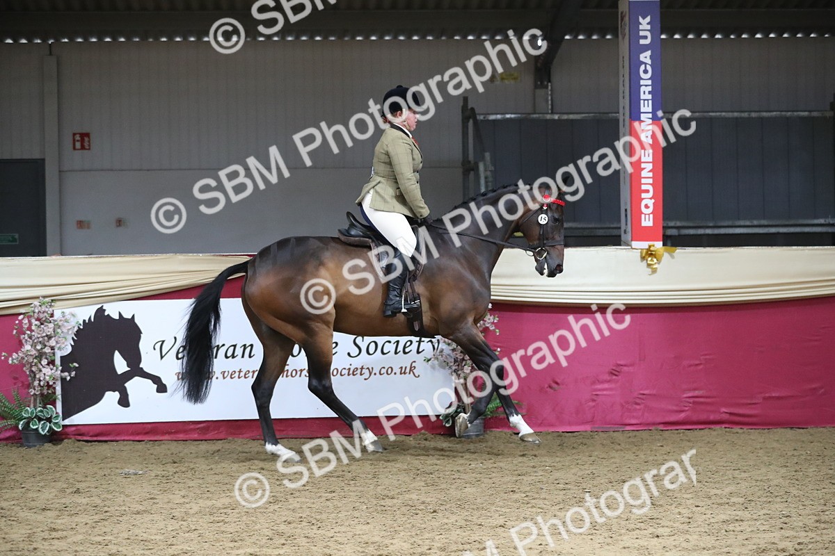 SBM_12324 - Class 108 Ridden Retired Racehorse- Pre Judging