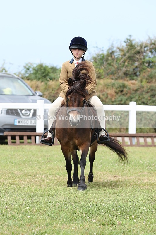 JPP_1930 - Class 18: Tiny Tots Working Hunter Pony