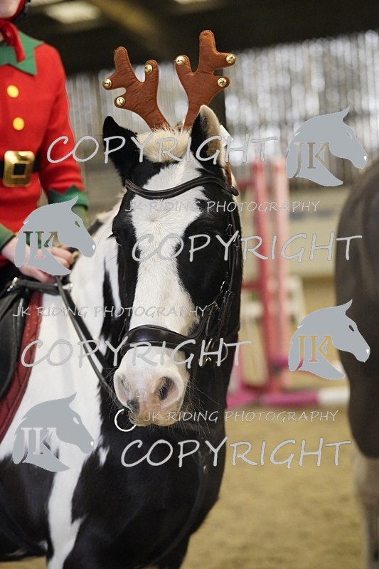 _DSC2605 - Mini Pairs