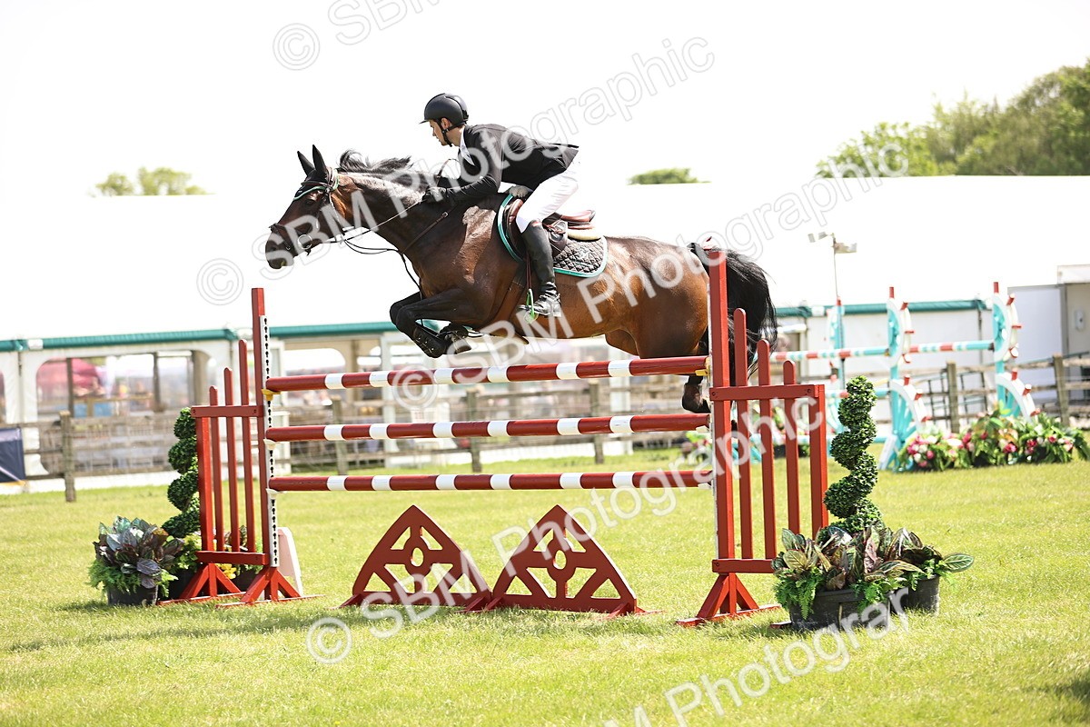 SBM_03995 - Class 201 - British Horse Feedds Speedi Beet HOYS Grade C