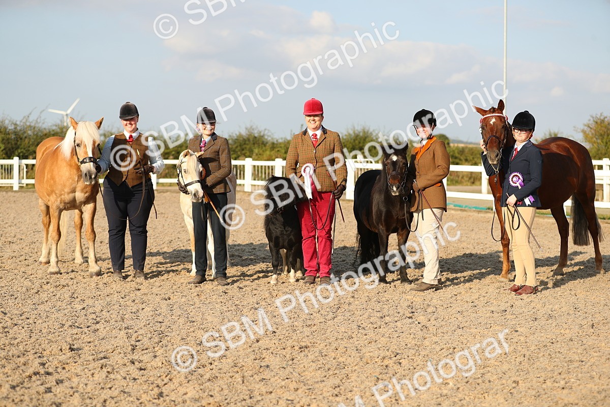 SBM_09161 - Class 29 IH Veteran Pony