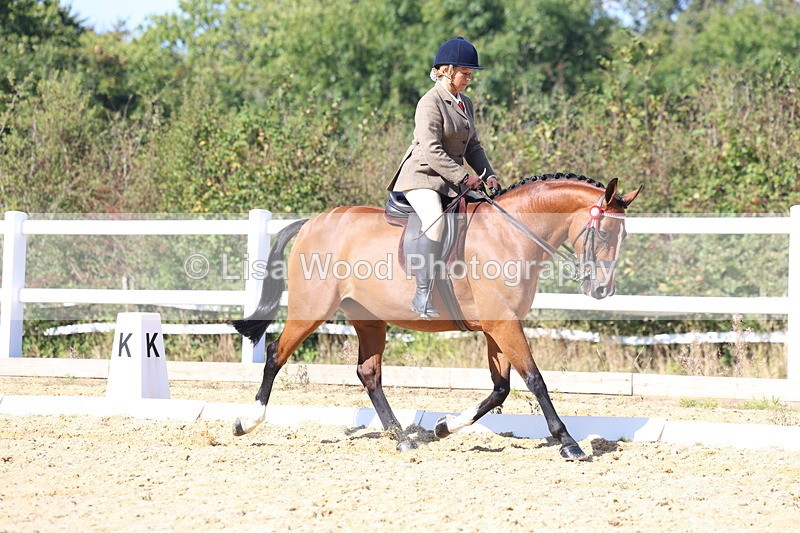 3E7A5690 - Class 10: Riding Horse