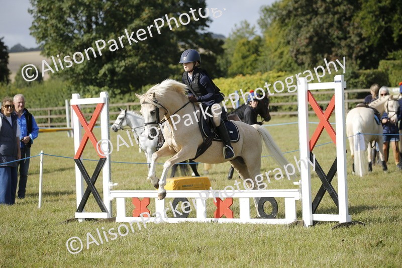 20250831-0212 - Class 1 - 50cm