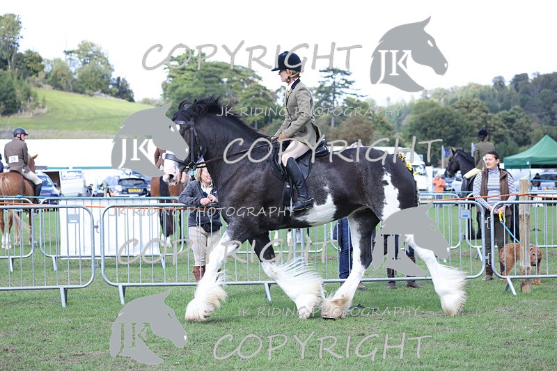 APP_3661 - Class 8 Ridden Class