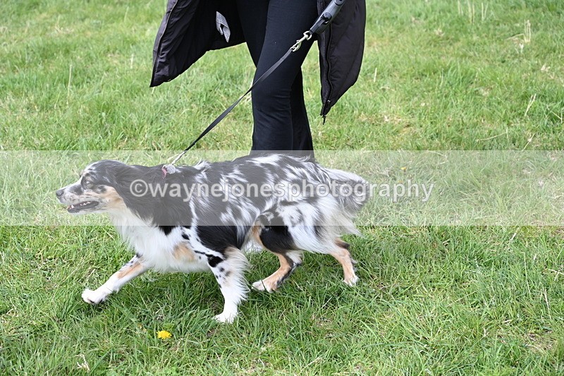 WJ6_8331 - Class 4 Prettiest Bitch