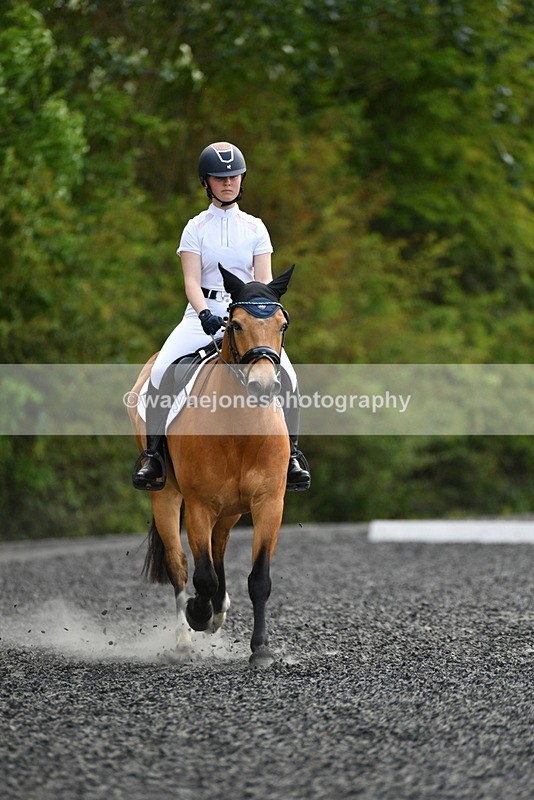 WJ5_1036 - Time 13:45 to 14:20