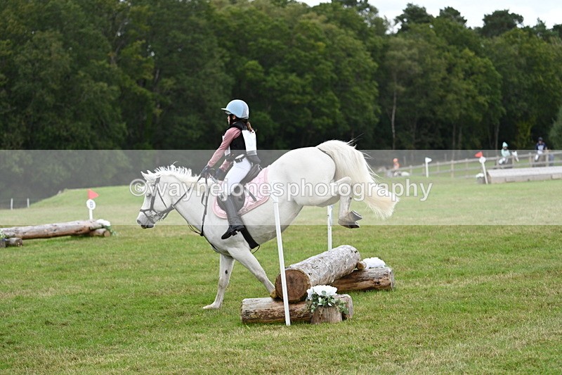 WJ7_8461 - 60cm Time 12:11 to 12:30