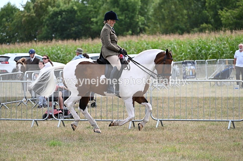 WJ7_5623 - Class 12 Ridden Cob