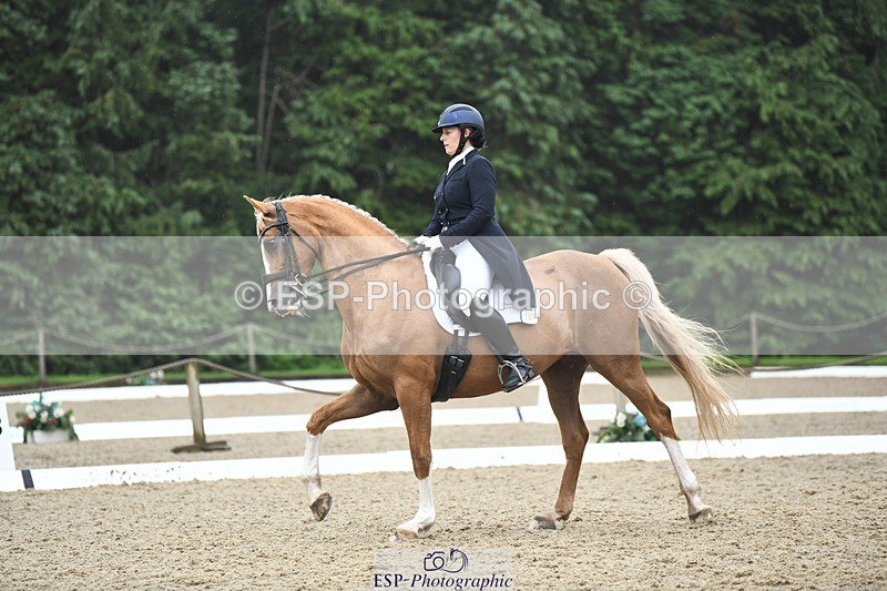 240720-145034-05835 - 187-Clare_Smith-Dori_Dragon_Fly