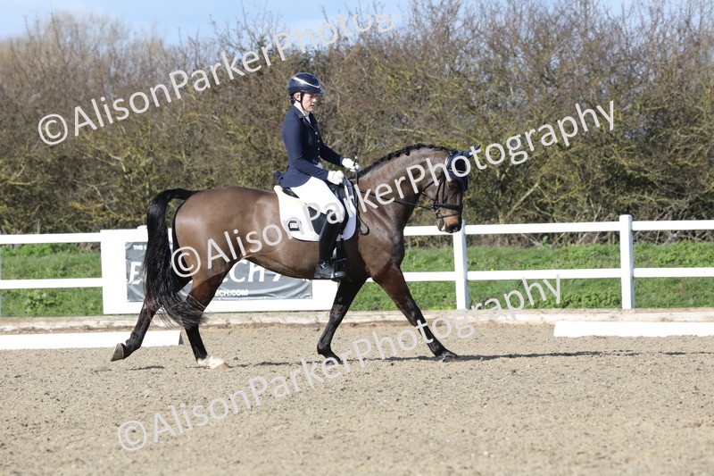 20260314-5055 - CT6 - Elementary 1