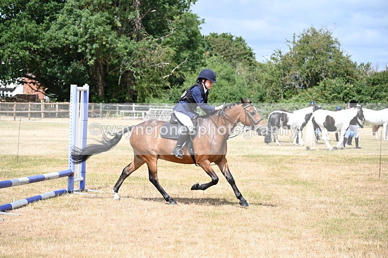 WJ6_5256 - Class 12 Minimus Jumping 45cm