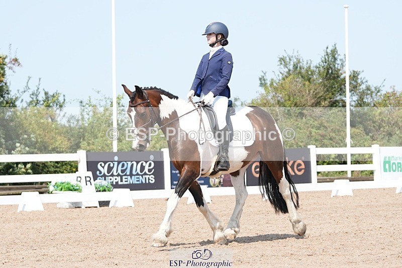 250817-122337-09304 - 050-Mollie.SheathTouch.Wood