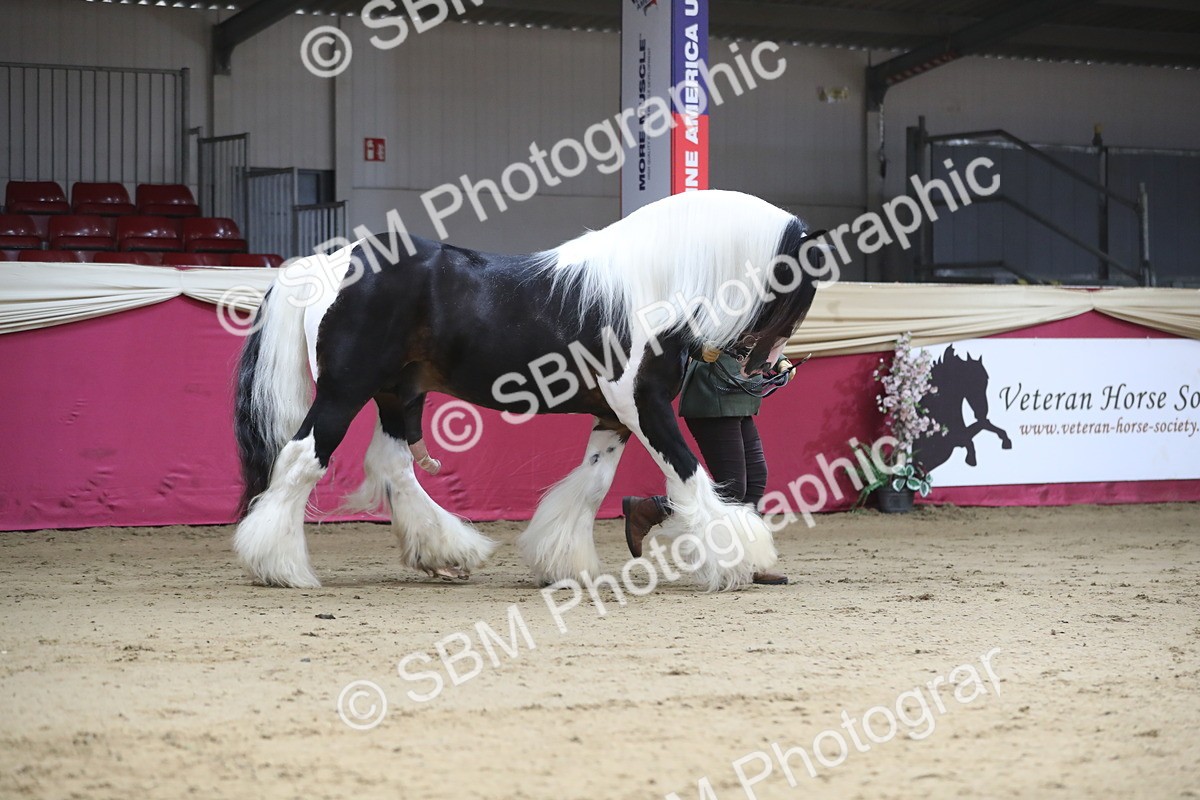 SBM_01326 - Class 3a Area IH Pre Vet