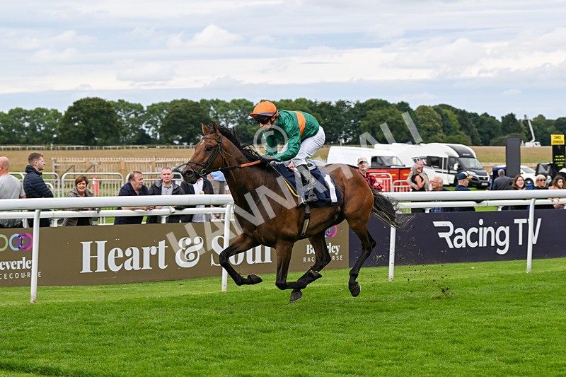 160724-Race 3-Roger Henry-8694 - Race 3