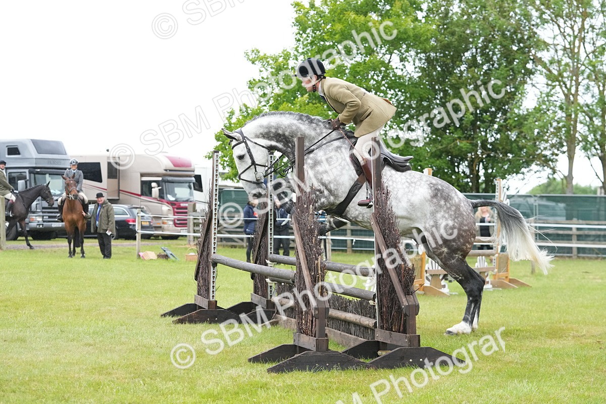 SBM_12607 - Class 97-98 - LIHS BSHA Rising Star Working Show Horse Hunter