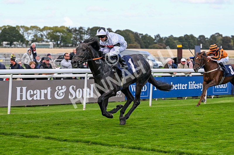 230925-Race 2-Ironwill-0138 - Race 2