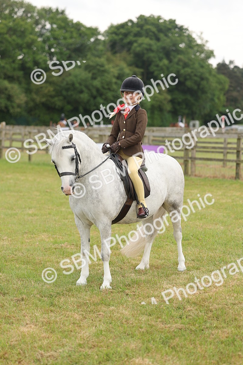 SBM_06886 - Class 74-75 - M&M Lead Rein and First Ridden Pony
