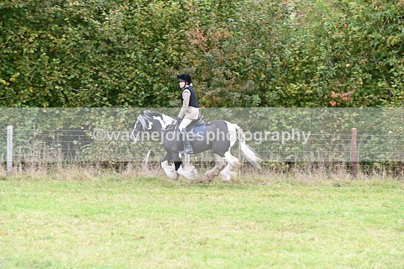 WJ6_0808 - Camera 2 Line 1