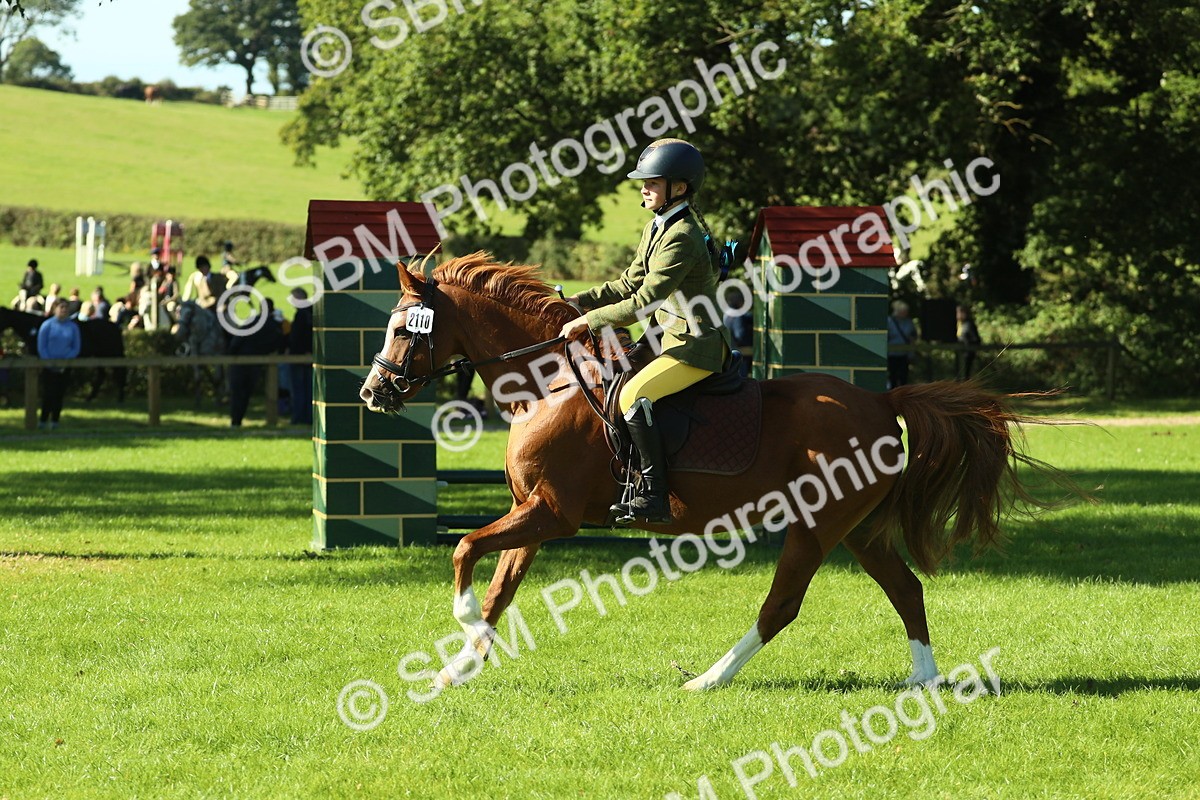 SBM_37449 - S29 - Novice & Newcomers Working Hunter Pony
