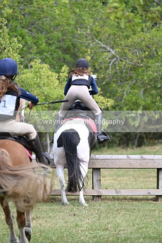 WJ7_5700 - 80cm XC Pairs