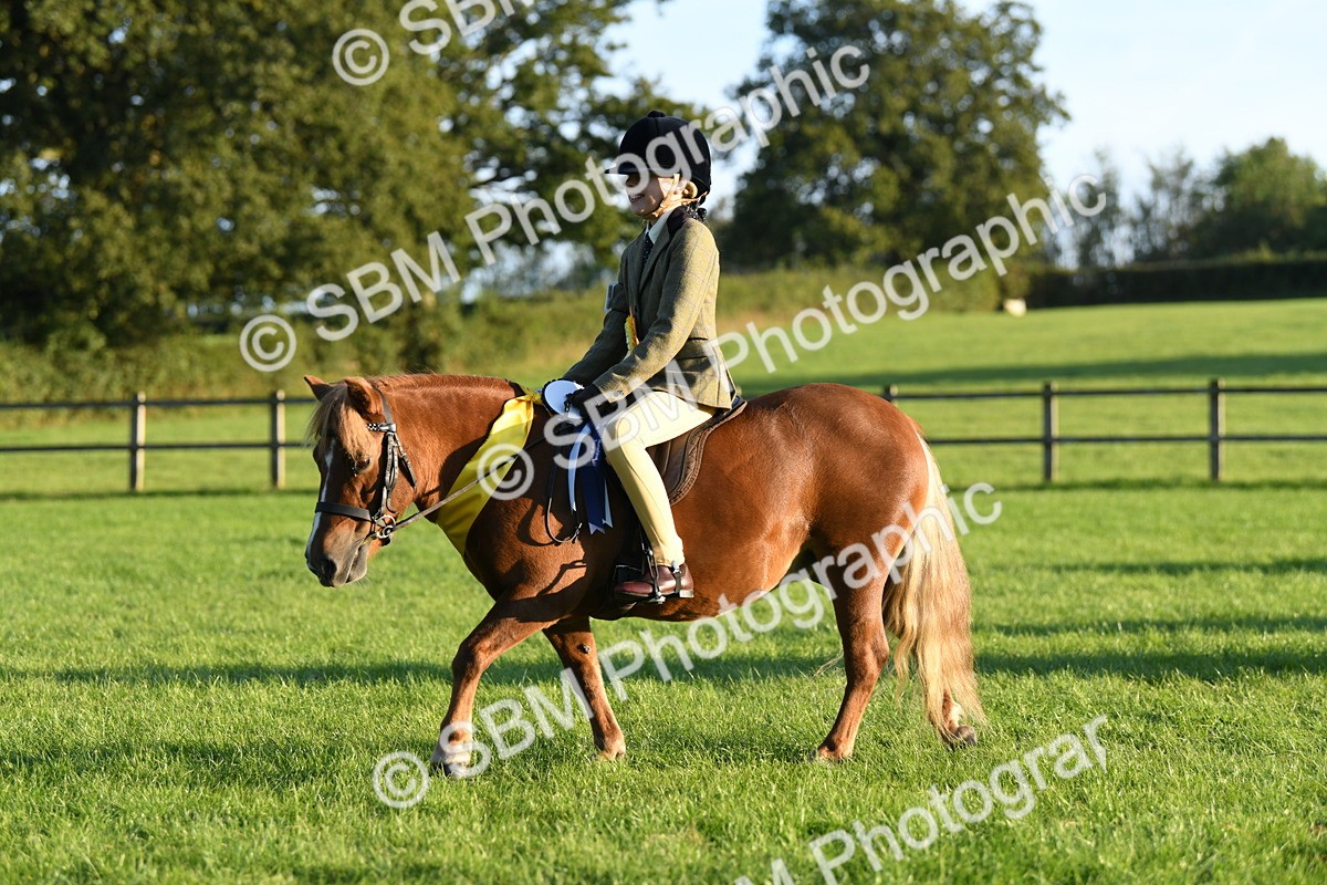 SBM_56486 - 1st Ridden Supreme Championship