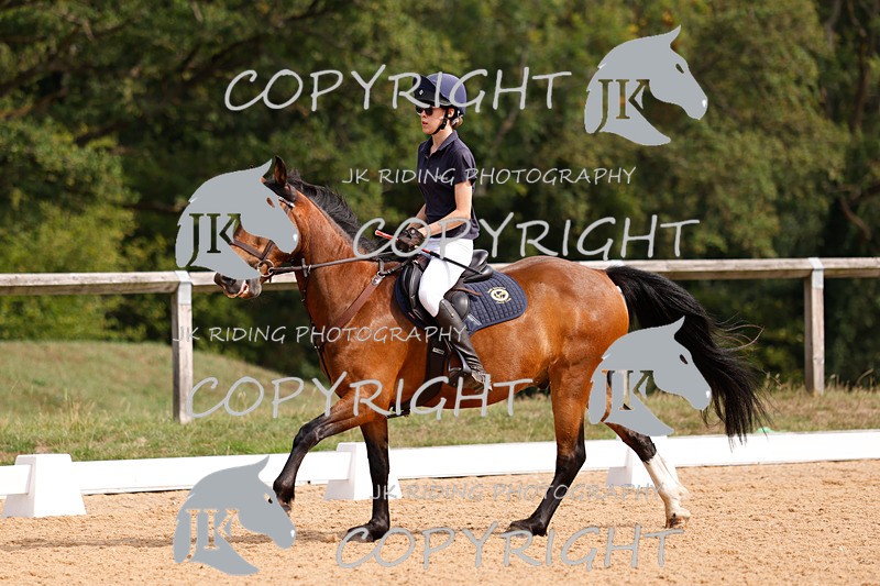 _R6A2286 - Dressage Morning