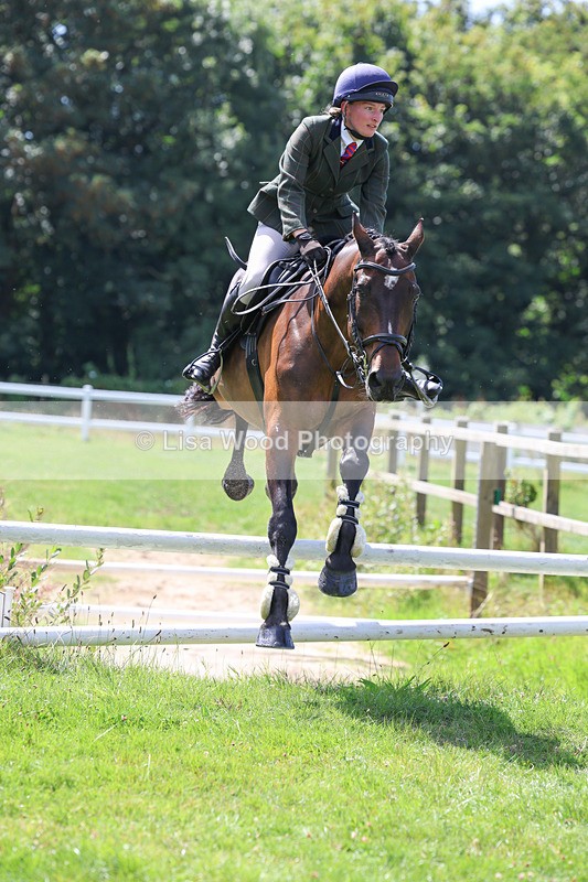 3E7A8924 - Class 6: Open Working Horse