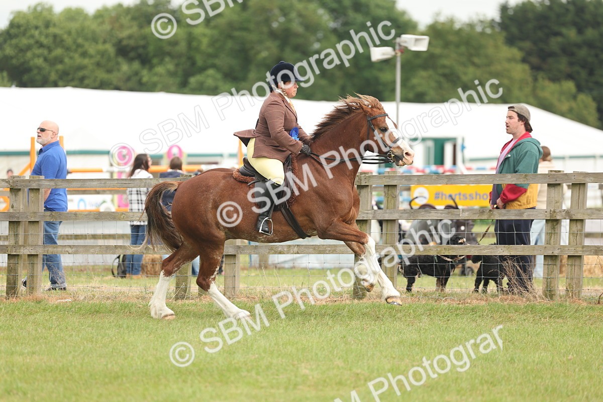 SBM_09130 - Class 78-80 - Ridden M&M Non Welsh Ponies
