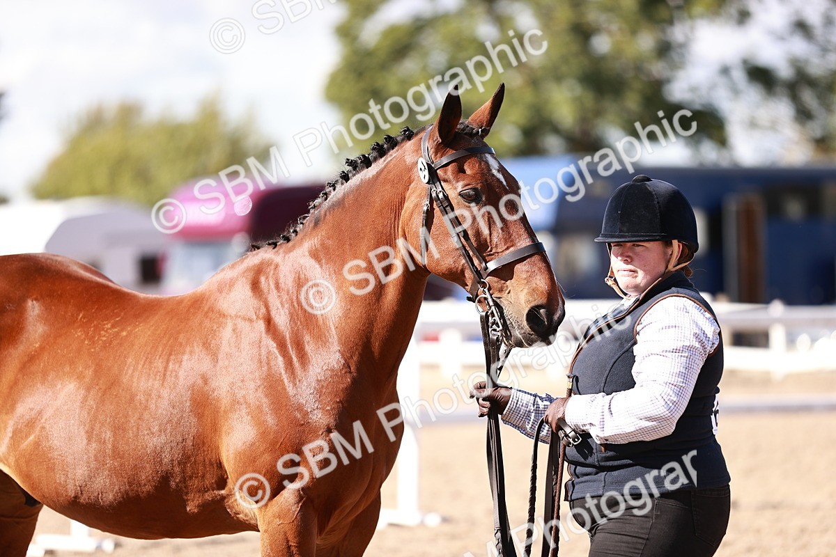 SBM_13336 - class 406 - IH Hunter