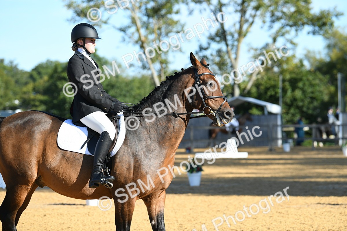 SBM_16202 - D4 - Small Tour Championship - Intro B