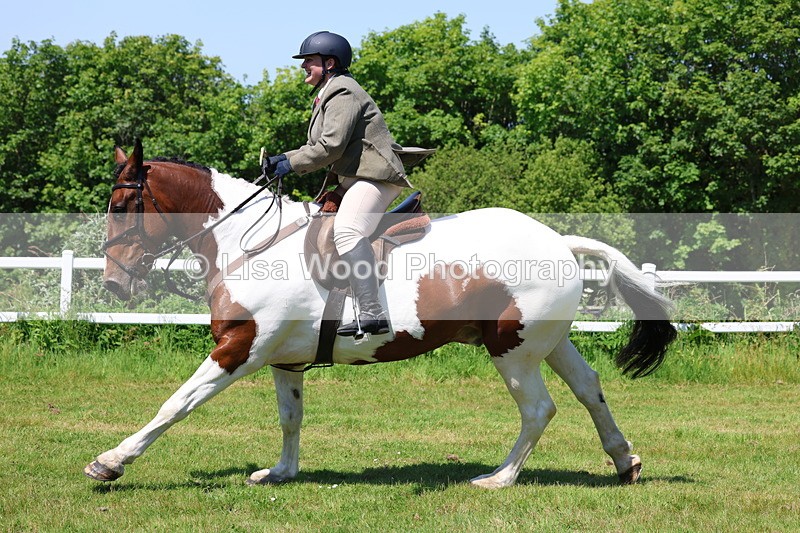 3E7A7278 - Class 30: Novice Working Hunter
