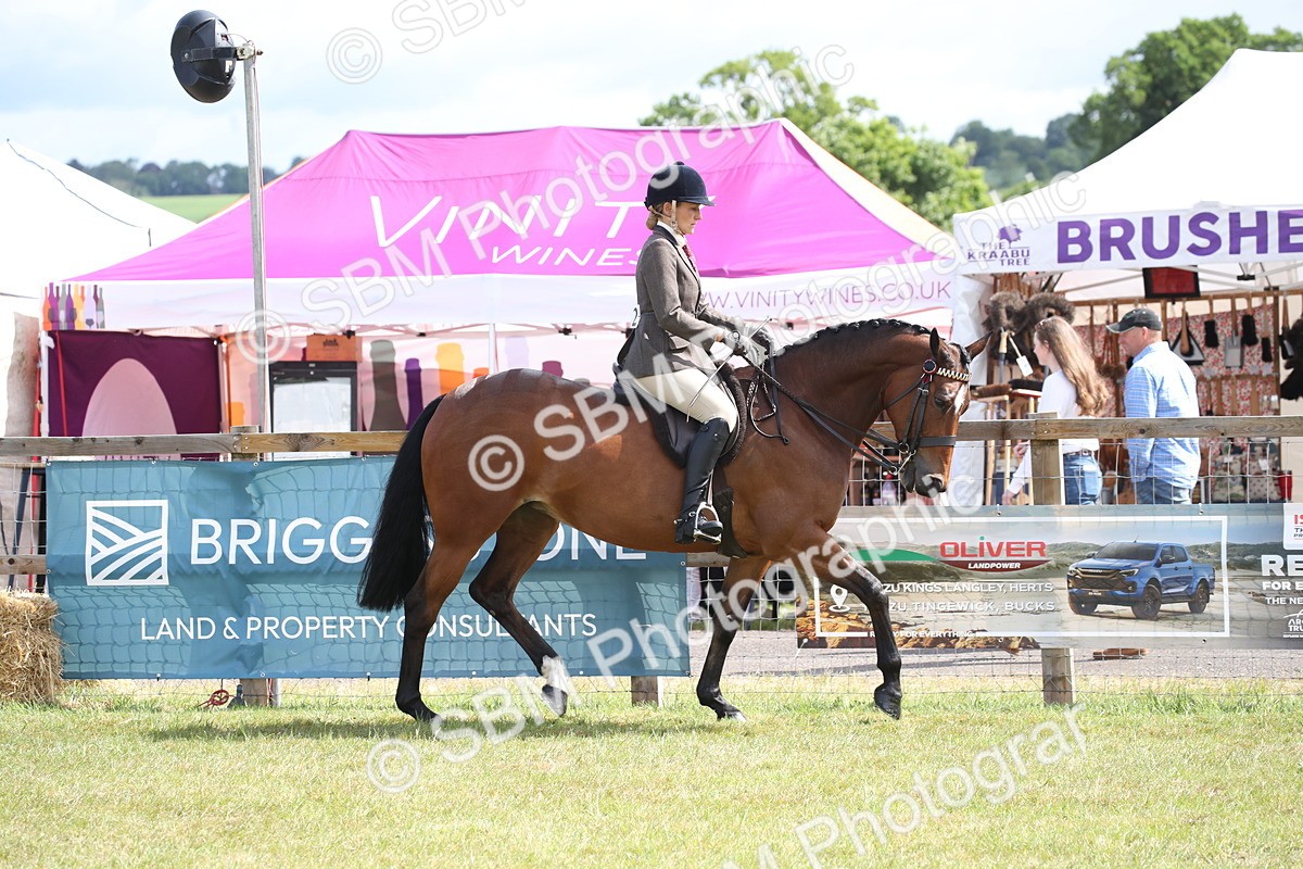 SBM_13189 - Class 95-96 - LIHS BSHA Rising Star Hack Riding Horse