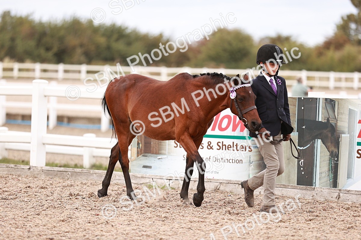 SBM_18469 - Class 420 - Ridden M&M