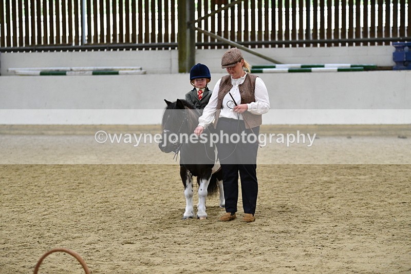 WJ5_7084 - Class 10 Childs Pony